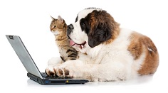 Dog and Cat on Computer